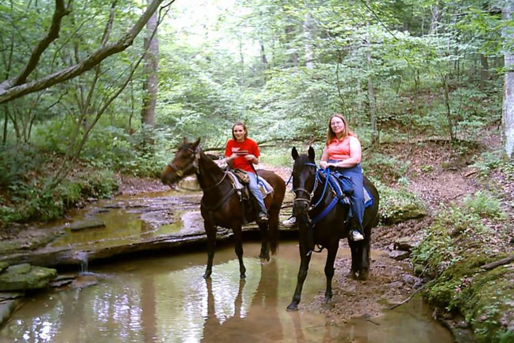 Two riders on horseback standing by a creek in a lush forest.
