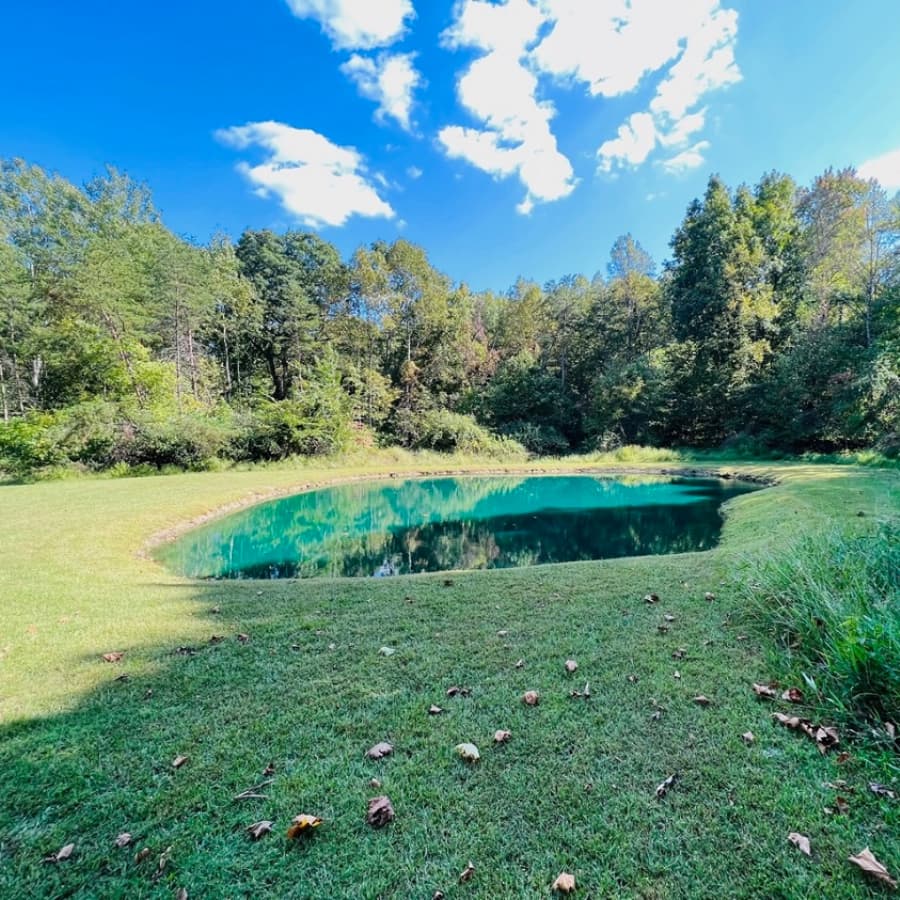 A serene pond surrounded by lush greenery under a blue sky with scattered clouds.