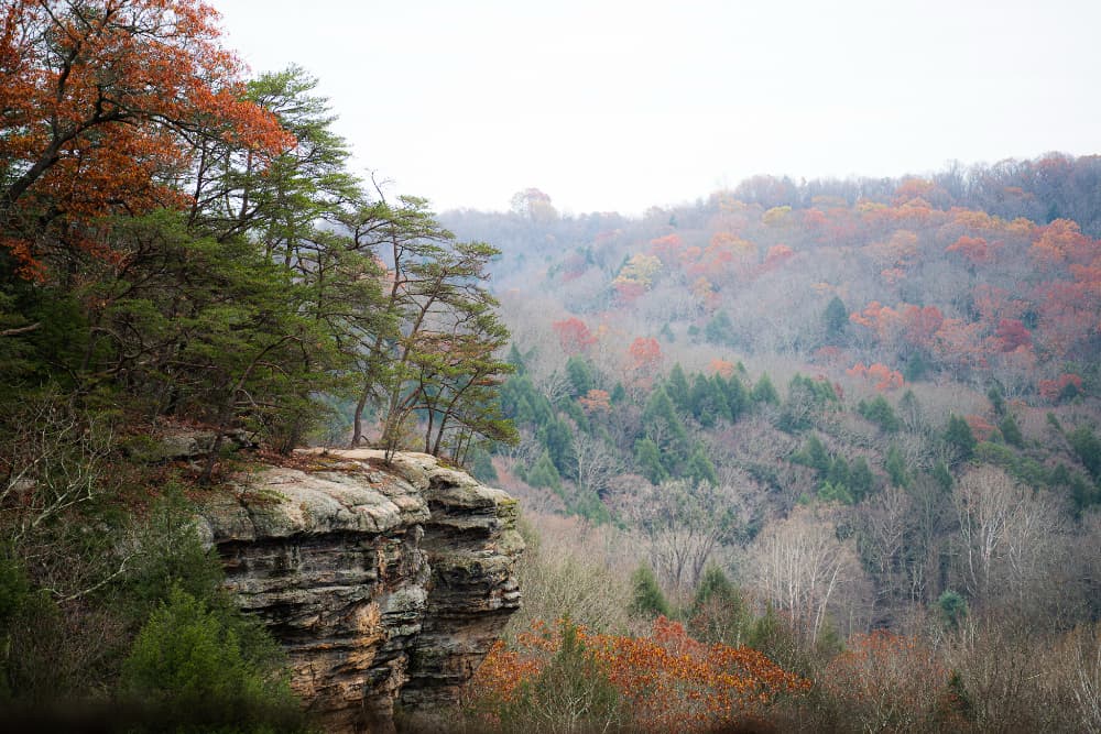 A rocky cliff surrounded by a forest with autumn foliage.